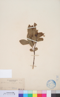 Specimen thumbnail